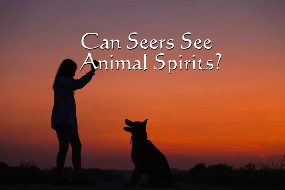Can Seers See Animal Spirits?