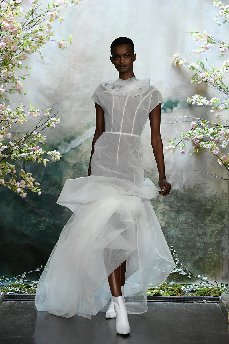 Look3.jpg