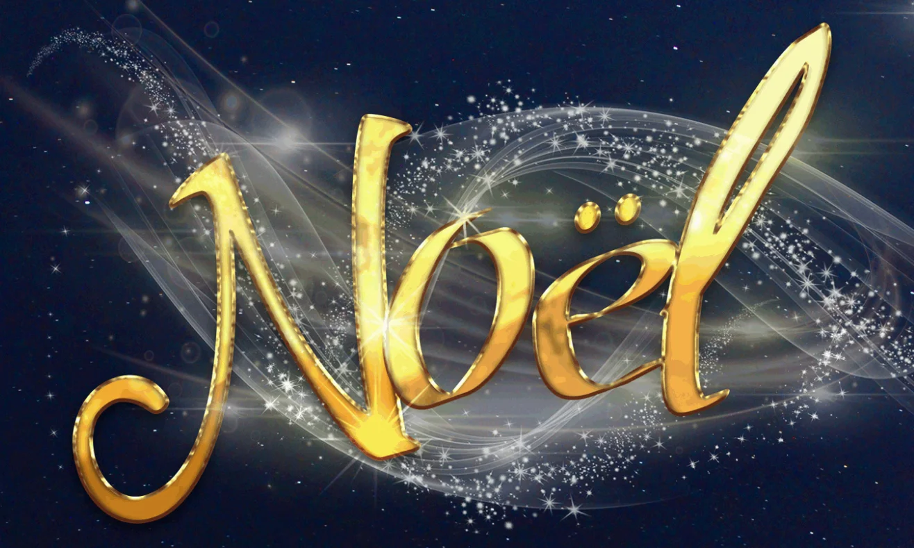 NOEL logo copy.jpg