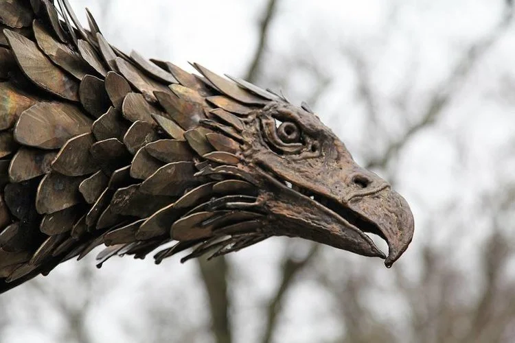 Eagle+Head.jpg
