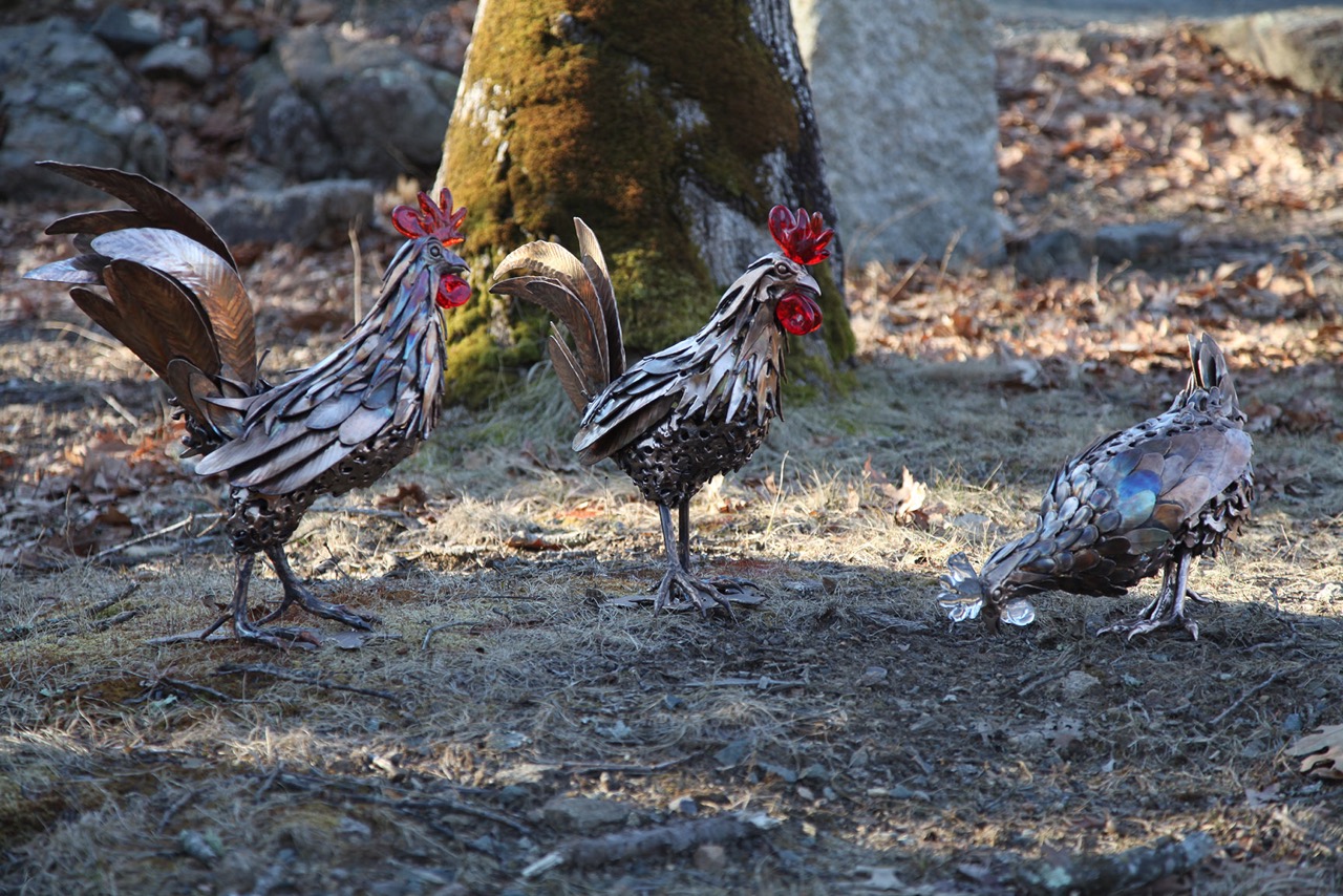 Spring Chickens C WilliamsFB.jpeg