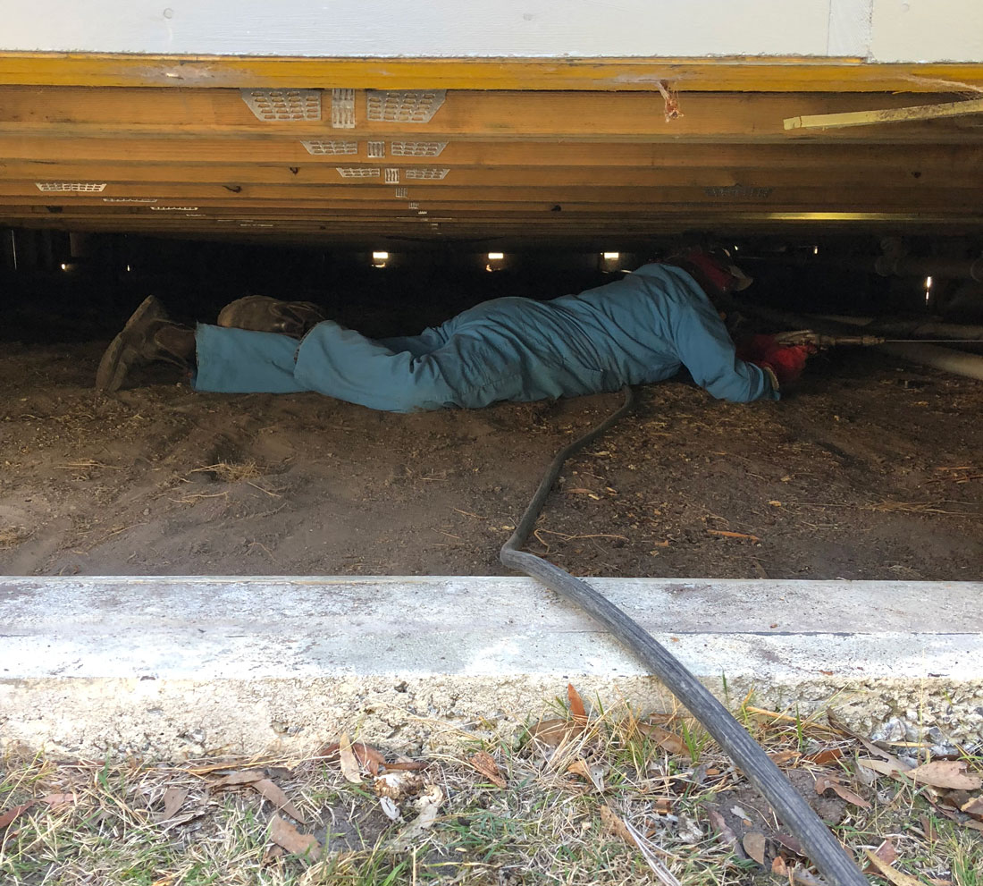 protecting-your-house-from-termites.jpg