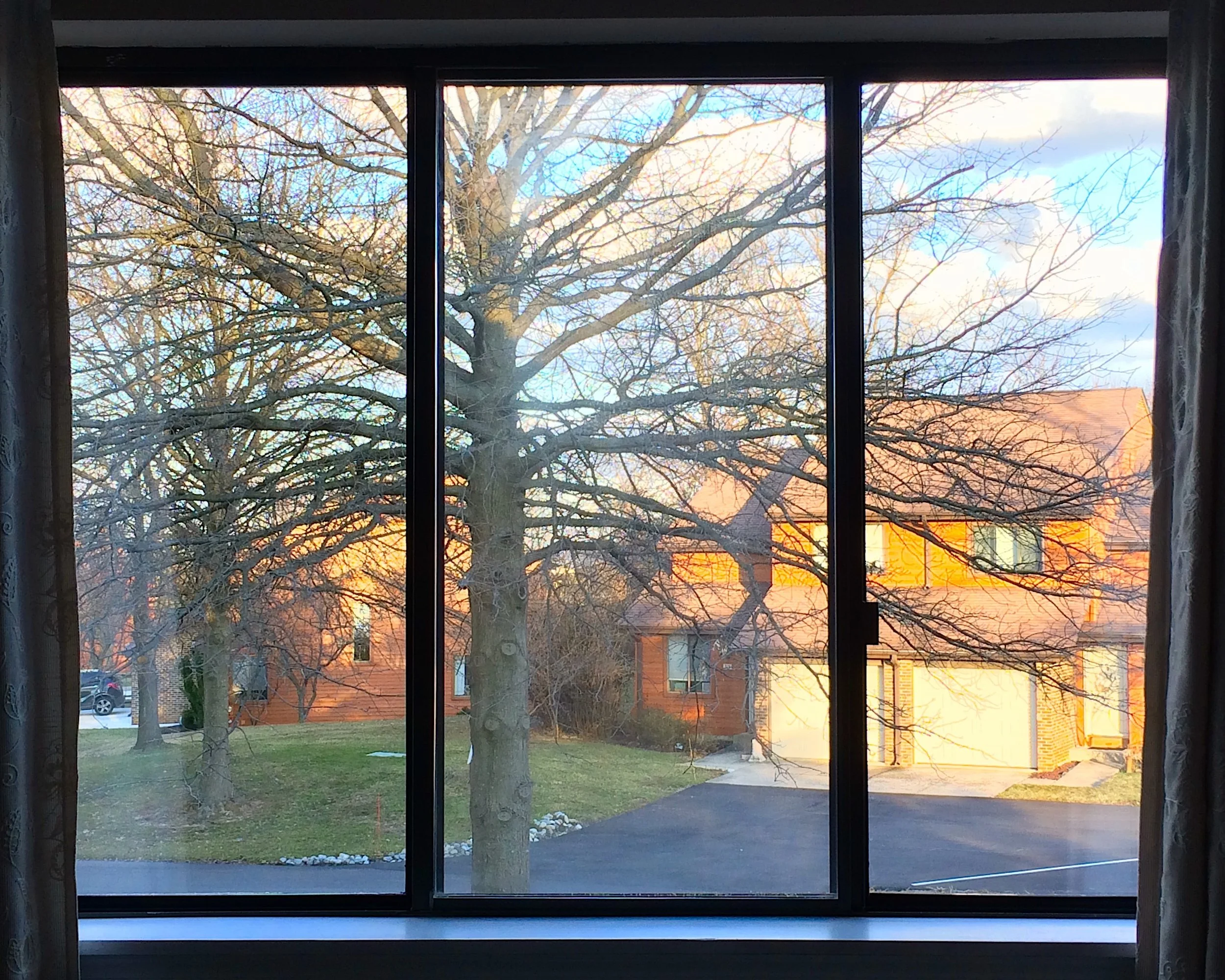 View from our bedroom window of one of my favorite trees in early spring.