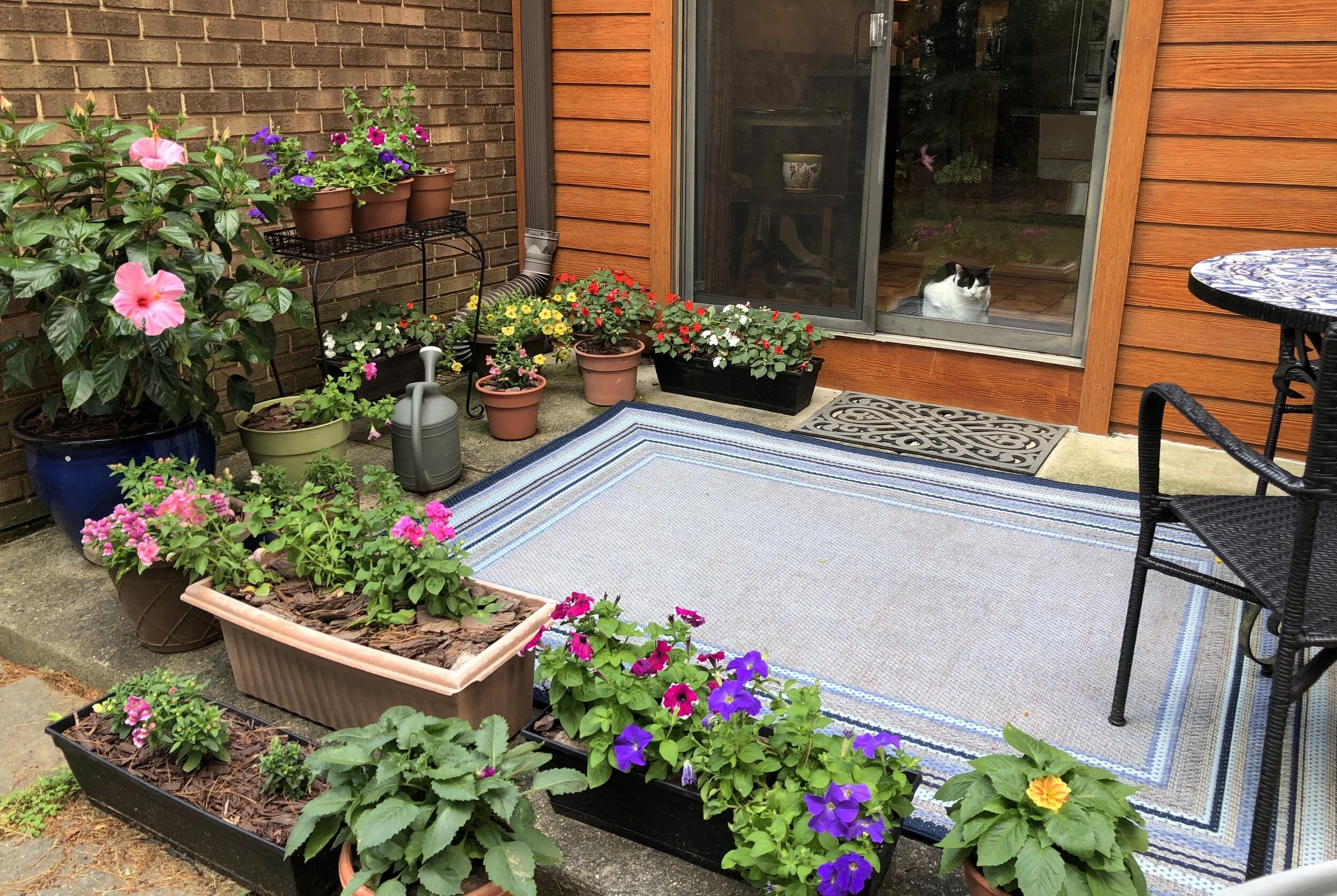 Backyard Flower Garden