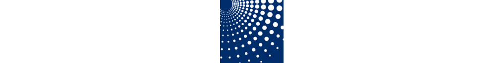 Harbor Light Capital Partners logo