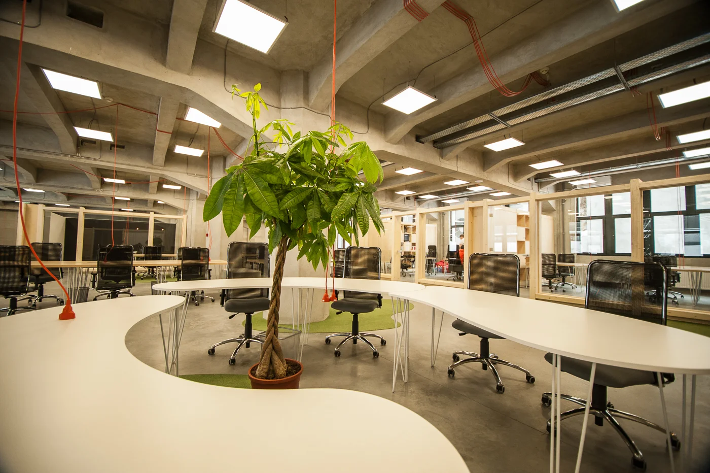Talent Garden este un spatiu de co-work flexibil, activ, in care lucrurile se schimba odata cu oamenii care au nevoie de el.