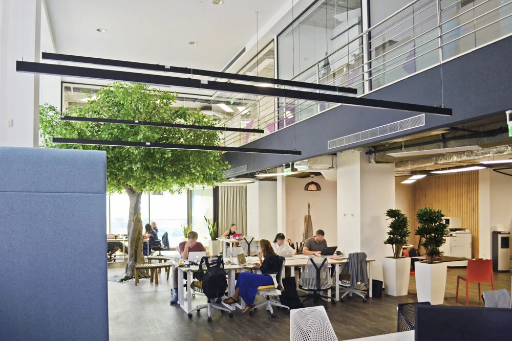 Impact Hub Universitate - Parter.jpg