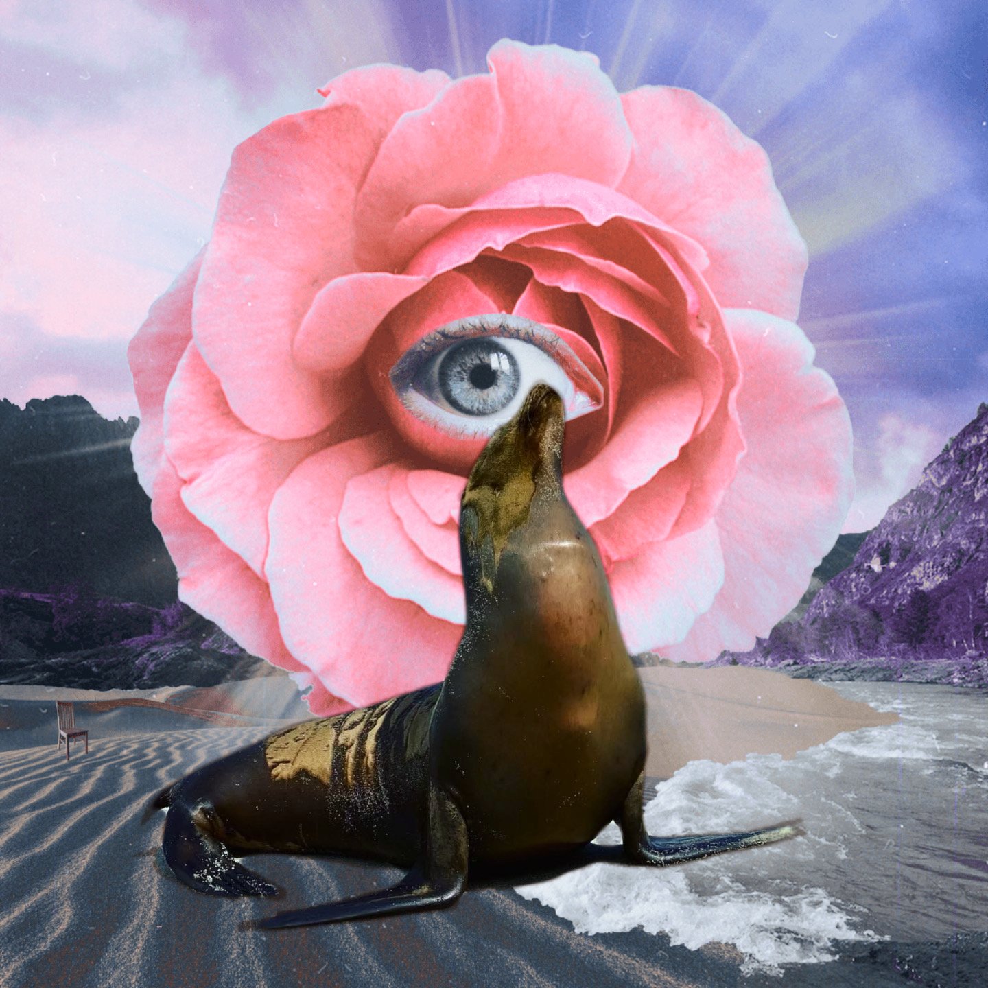 Vulnerability- How being vulnerable is key to your success (and tips to get you started)