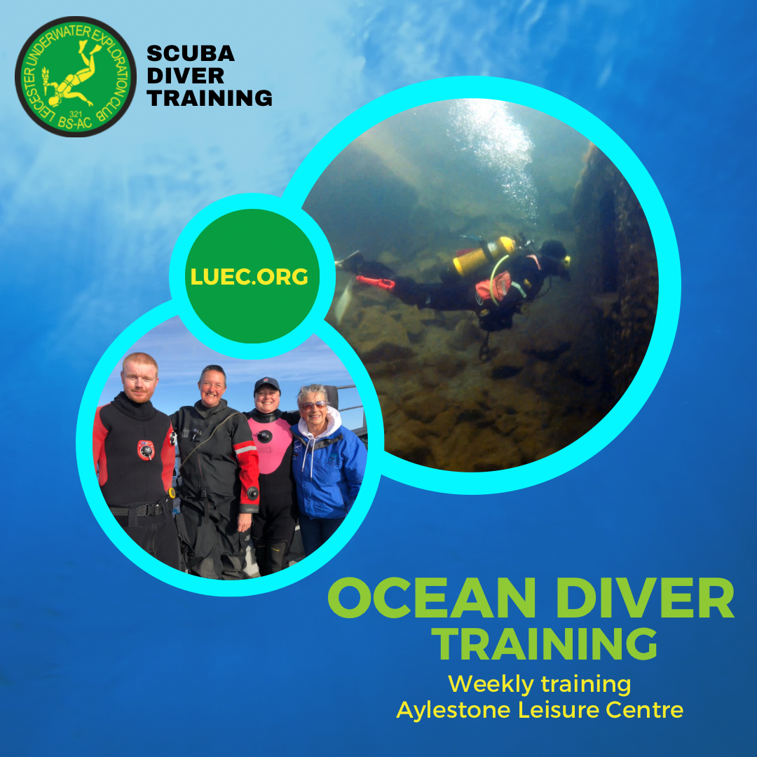 Ocean Diver Training: Week 6