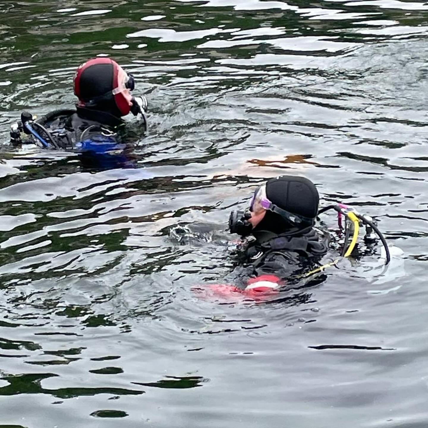 A few of our divers snook off to the Cove today to get some diving in taking advantage of the Cove being quieter midweek 🤿

The rest of us may or may not be jealous! 😂

#Leicesterunderwaterexplorationclub #luec #bsacdivers #learntodive #scubadiveuk