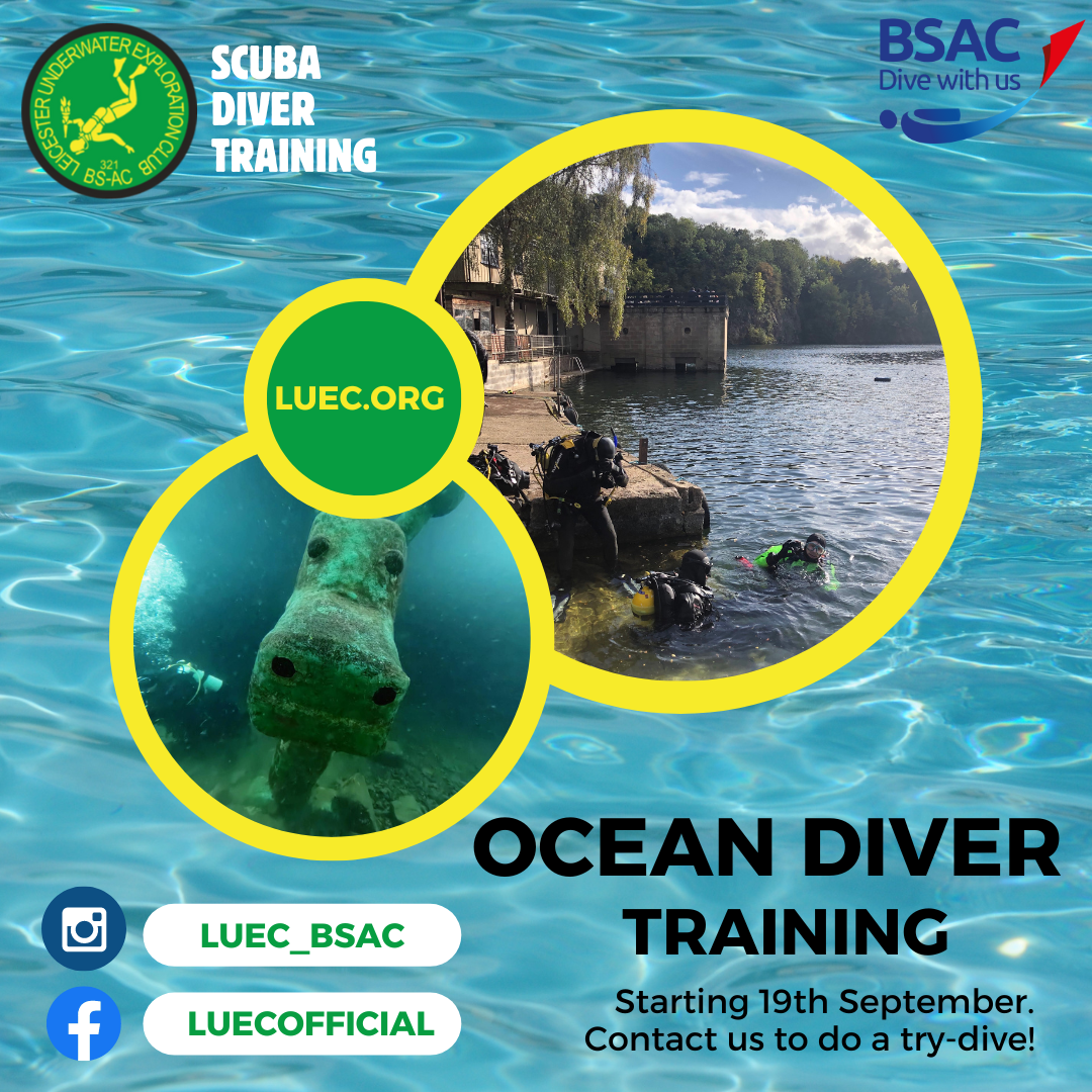 Ocean Diver Training- Week 6