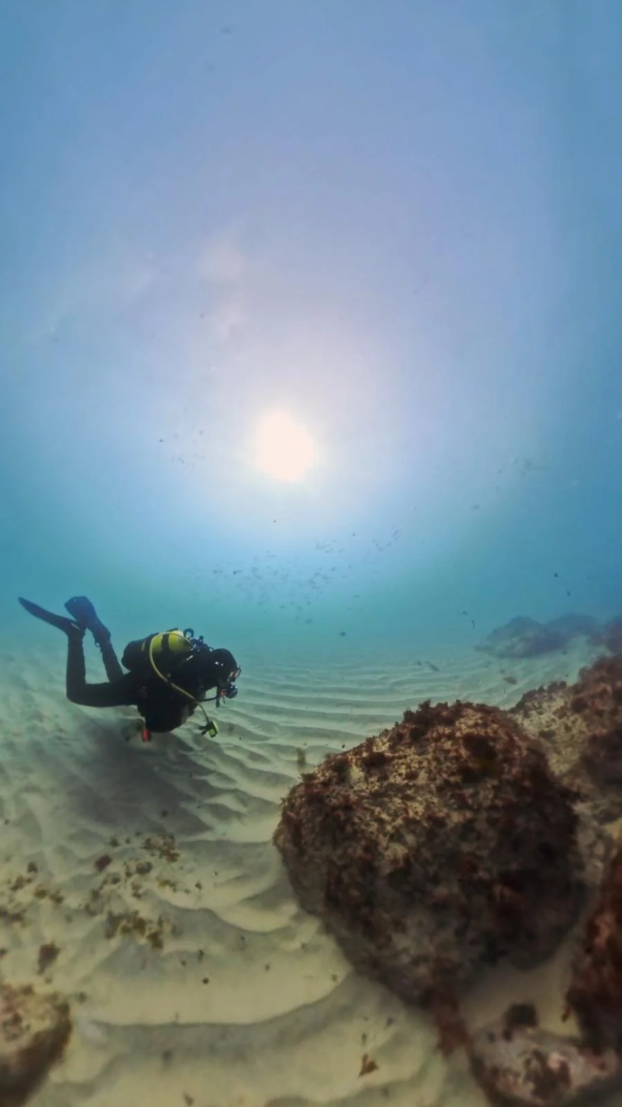 Portugal dive trip
