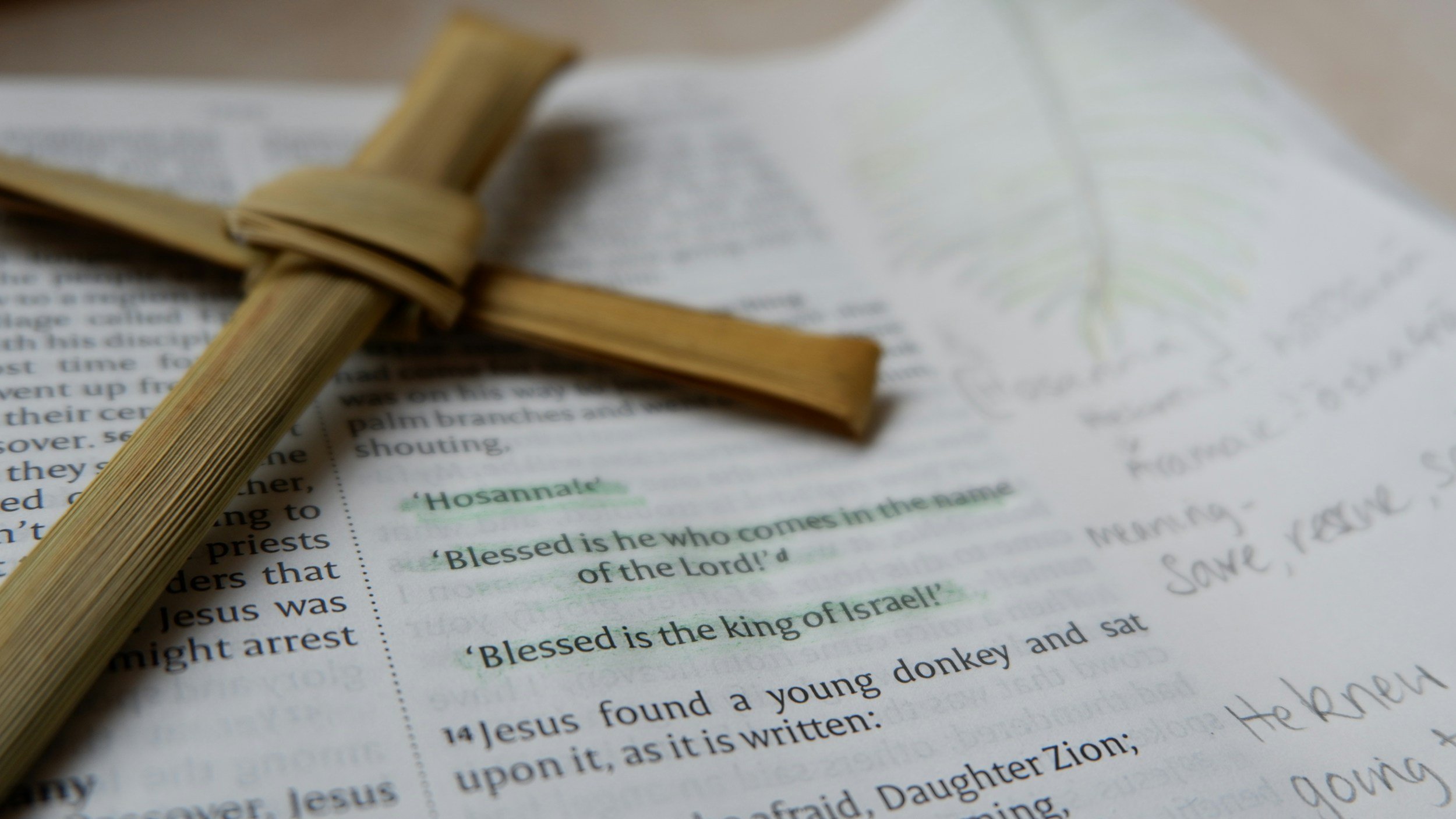 10 AM Morning Service - Palm Sunday