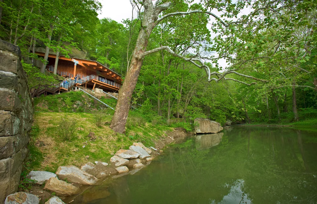 meadowcroft8.jpg