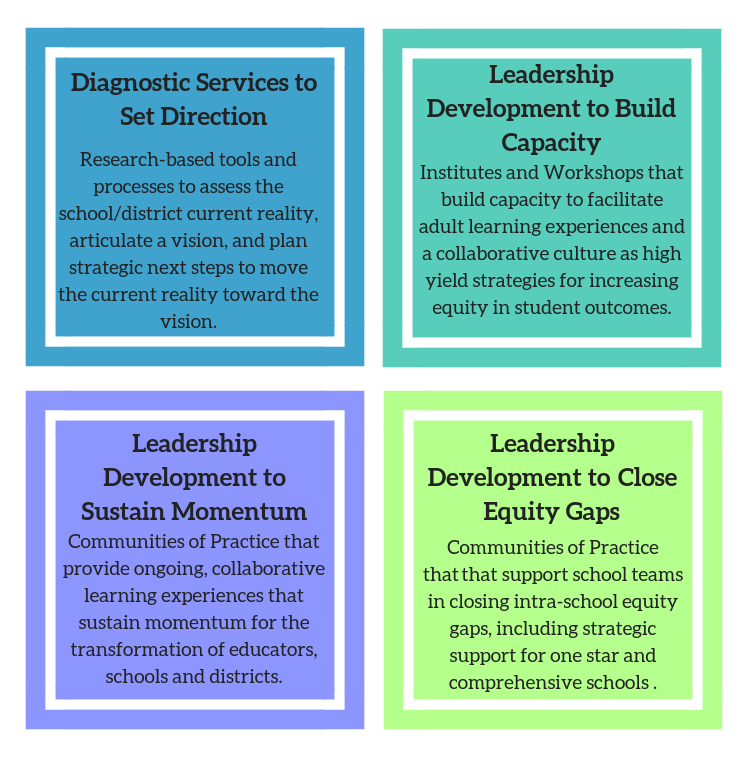 Diagnostic Services to Set Direction Updated.png
