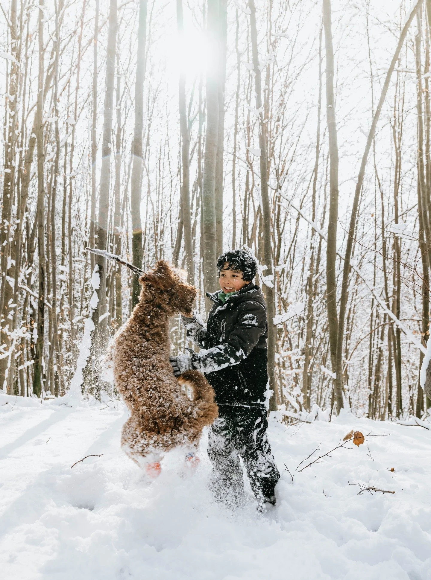 It's still winter and I don't mind at all! ❄ 

A slower start of the year means more family time, longer walks with the dog, more project planning and more time to finally update my very outdated website. 
.
#winterbubble #slowjanuary #salzburgphotog