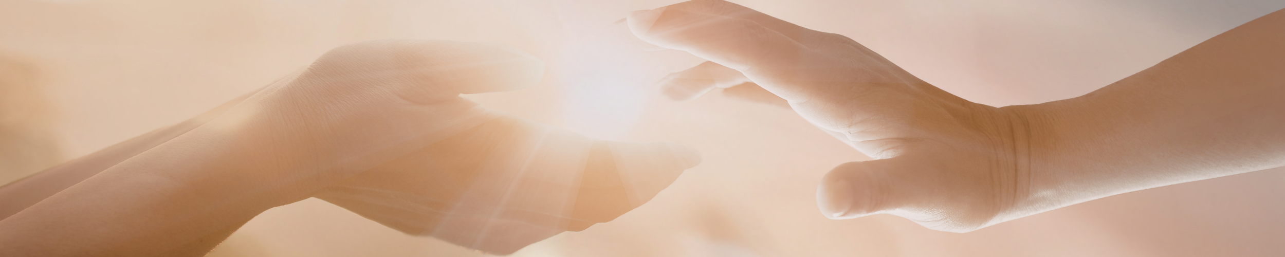 Na landingpage (2500 x 500 px).png