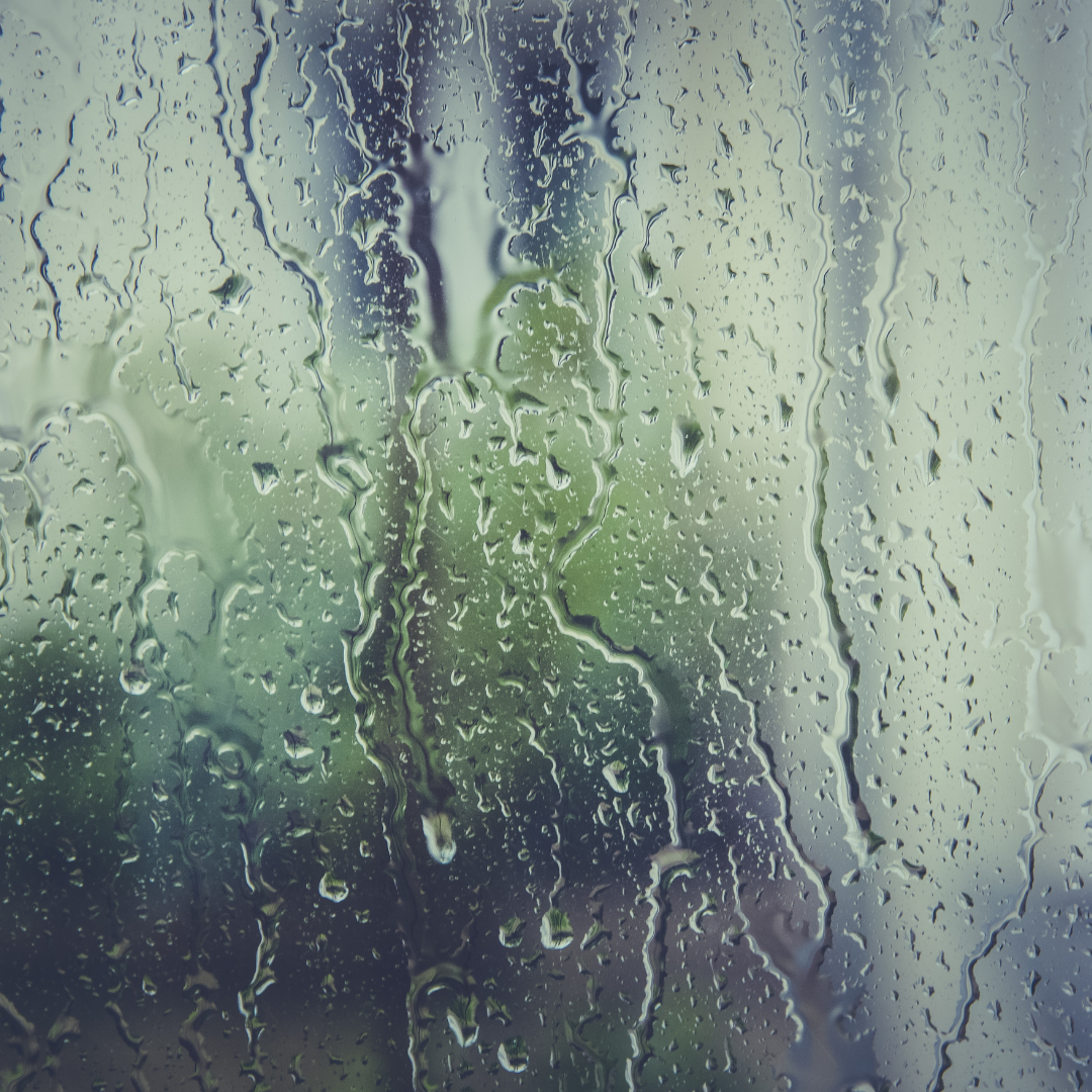 The Sound of Rain