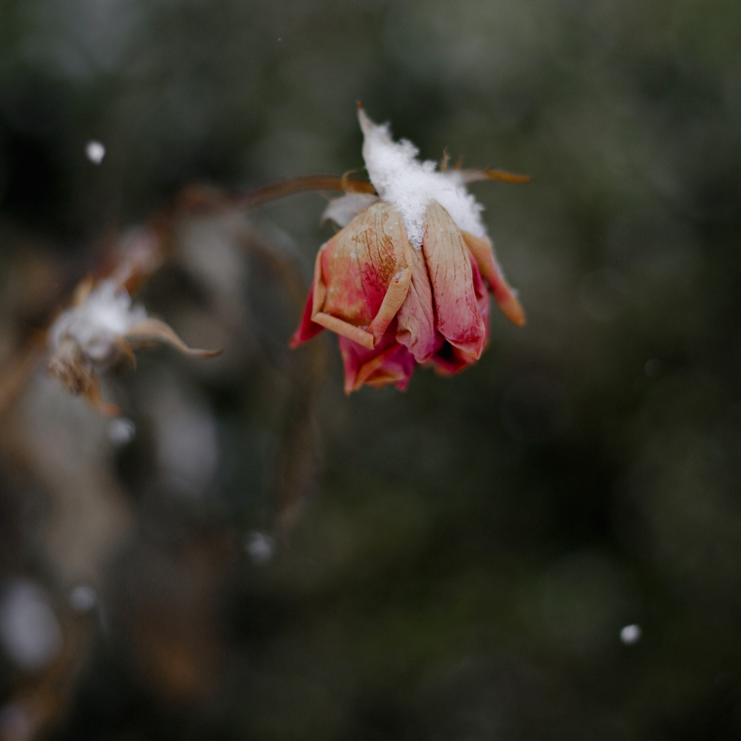 Even This - Indelible Ink Writers Guest Post