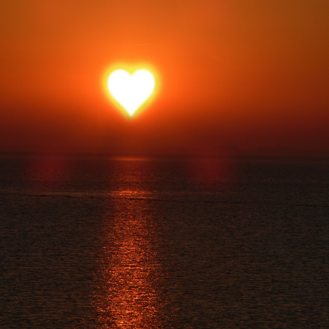 Untamed Heart