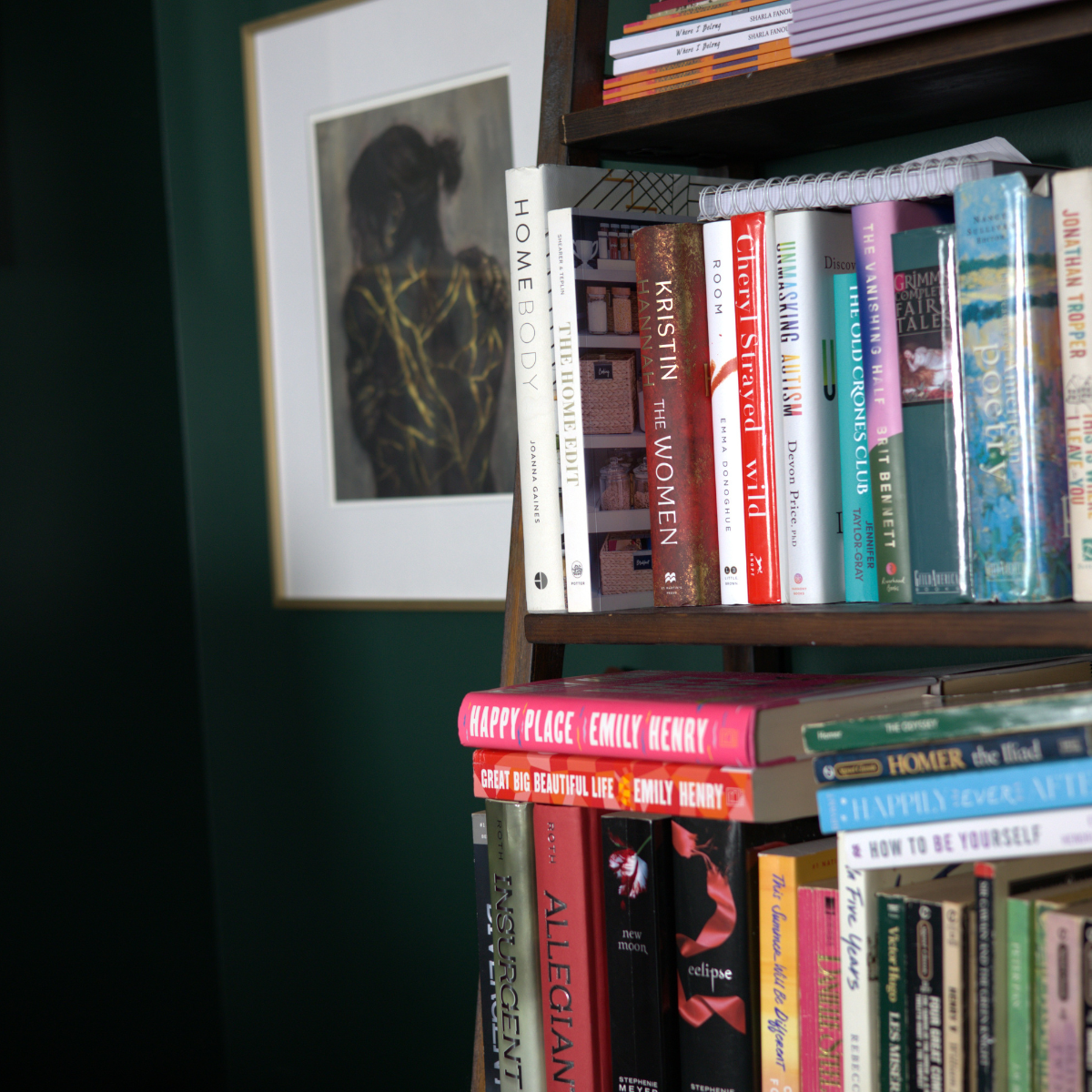 Books on a bookshelf with various titles, and a framed abstract artwork of a woman with dark hair in the background.