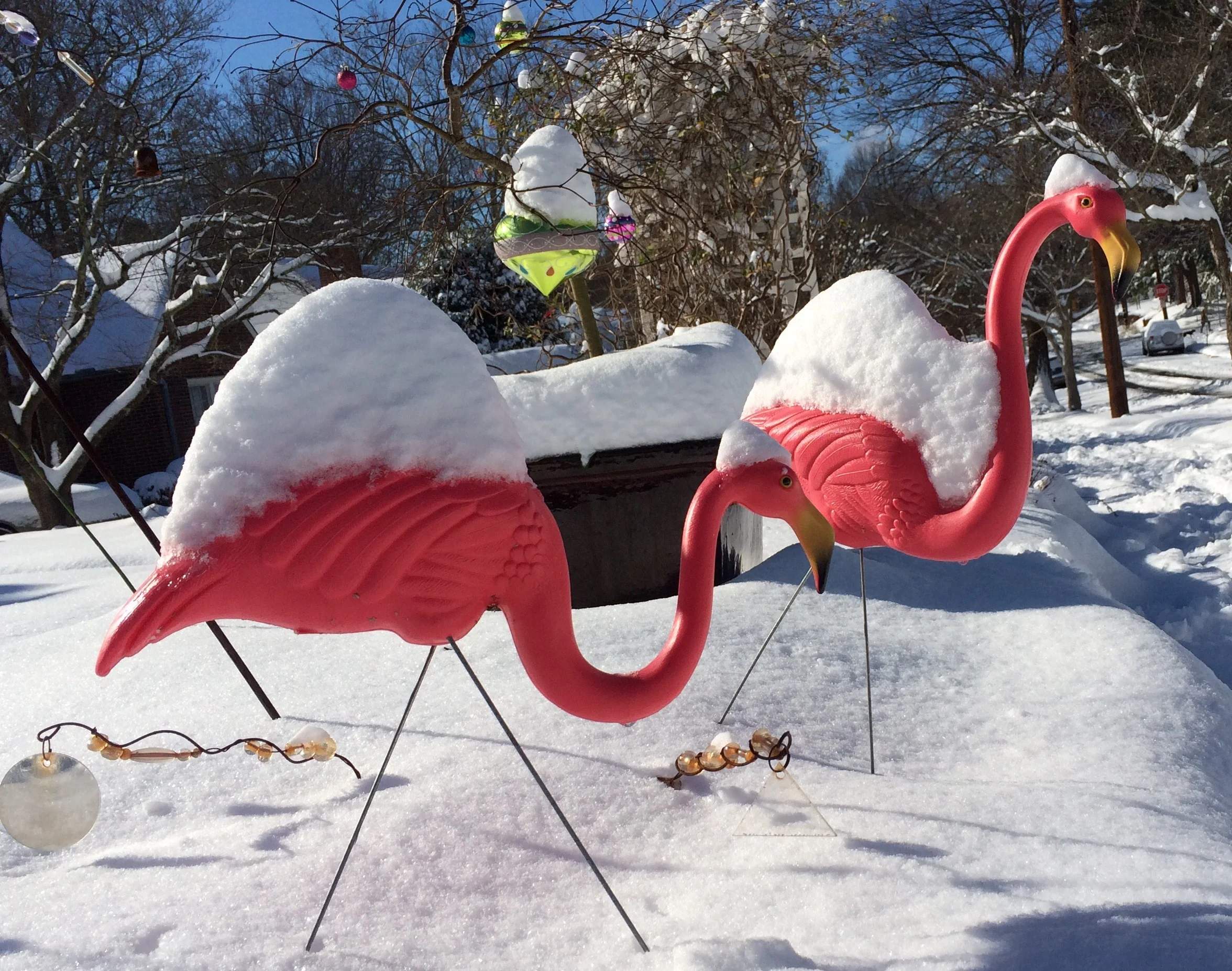 Sales Kit for Start-up CeCe’s Wool