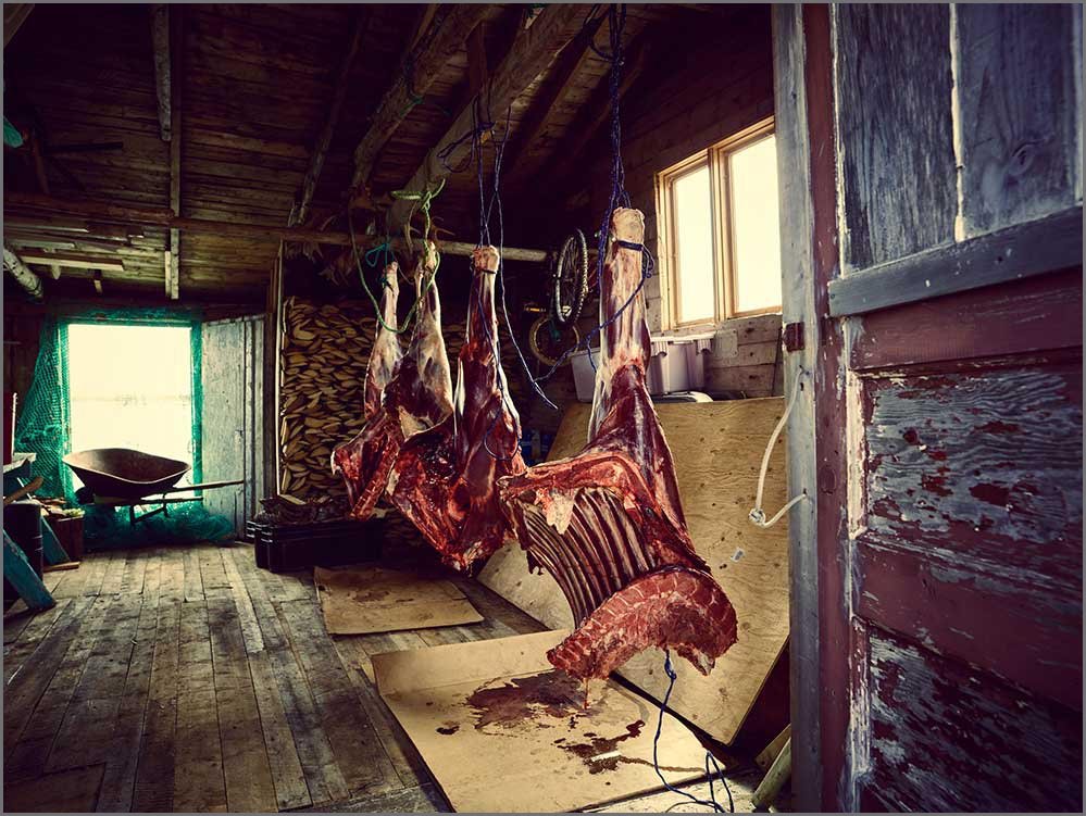 personal project hanging moose quarters.jpg