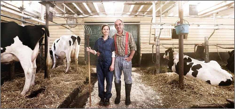 Industrial Photo Dairy Barn.jpg