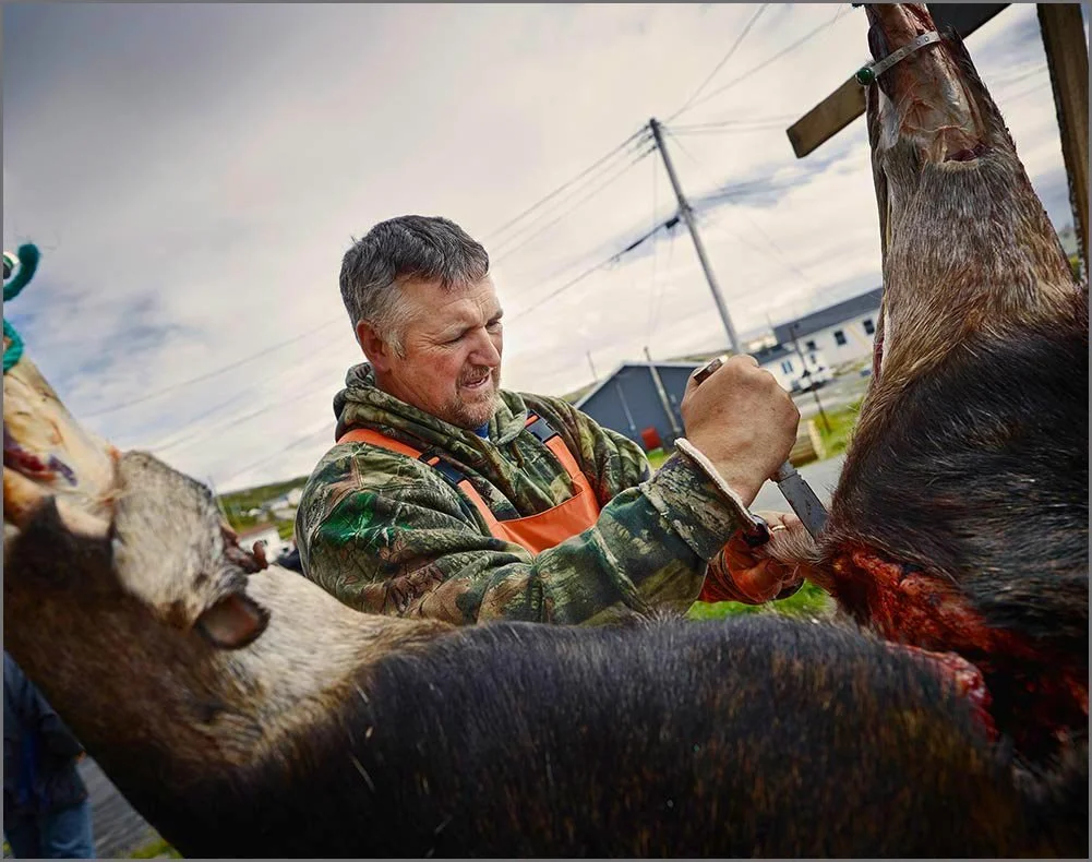 personal project man butchering moose in Newfoundlandjpg.jpg