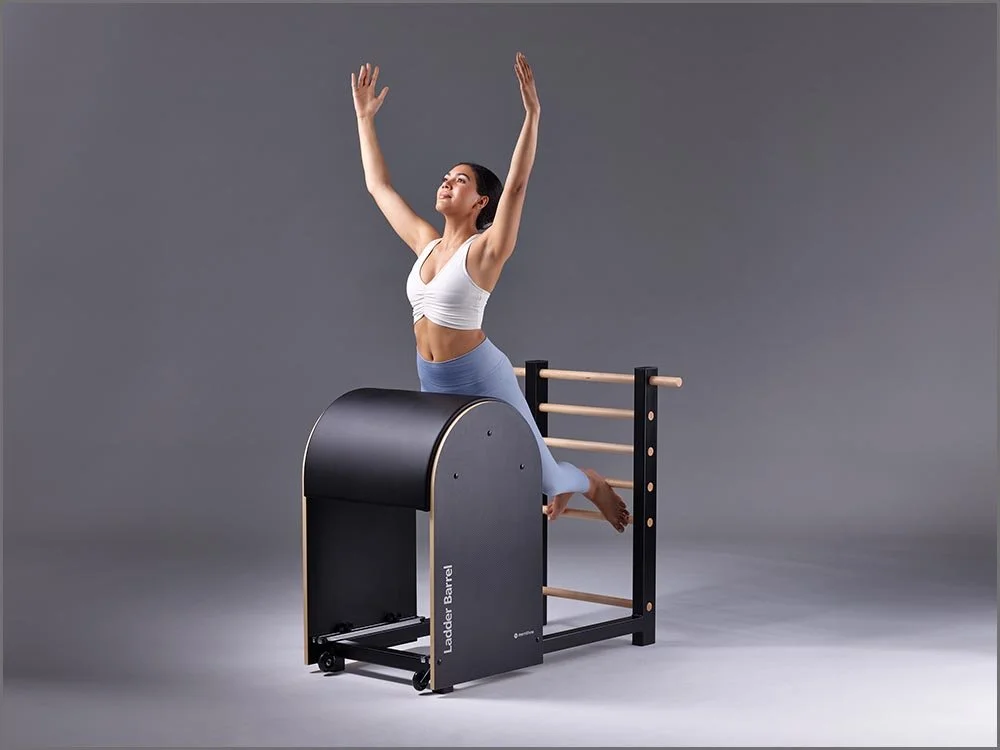 lifestyle health wellness ladder barrel 2.jpg