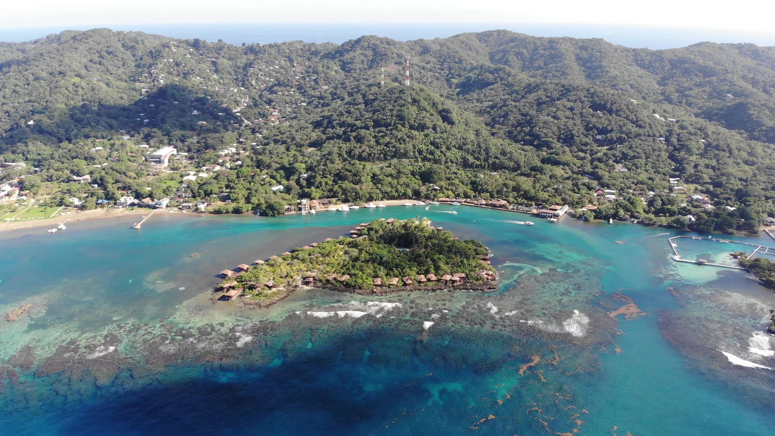 DJI_0008_Proxy_1_Moment 2.jpg