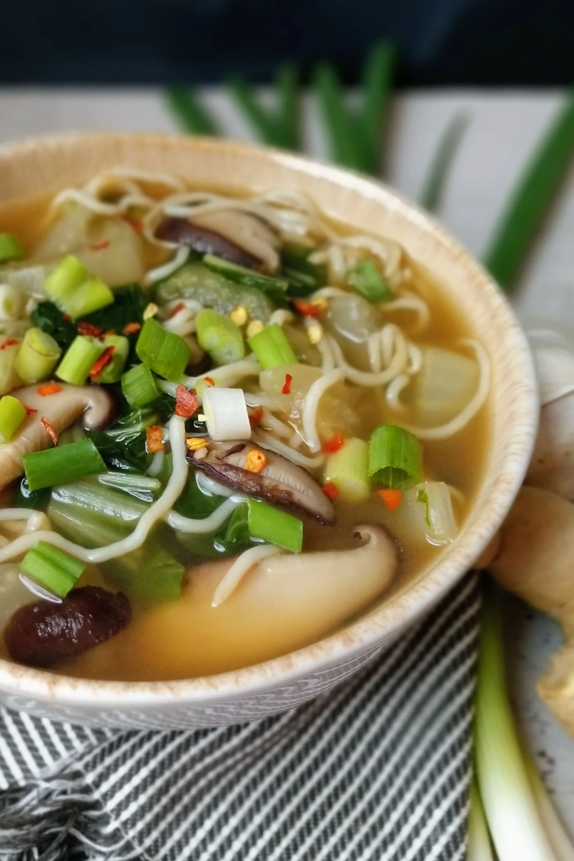 Asian Noodle Soup