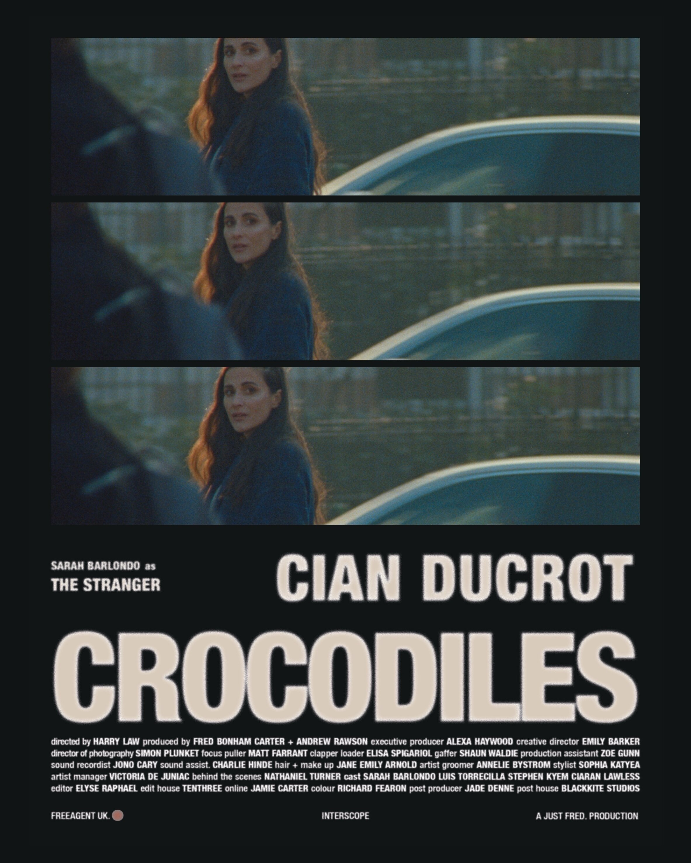 Crocodiles - Cian Ducrot