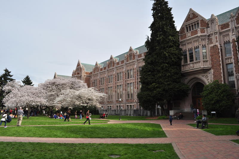 Copy of KNKX: Diversity On UW Campus Proves Lacking For One Student