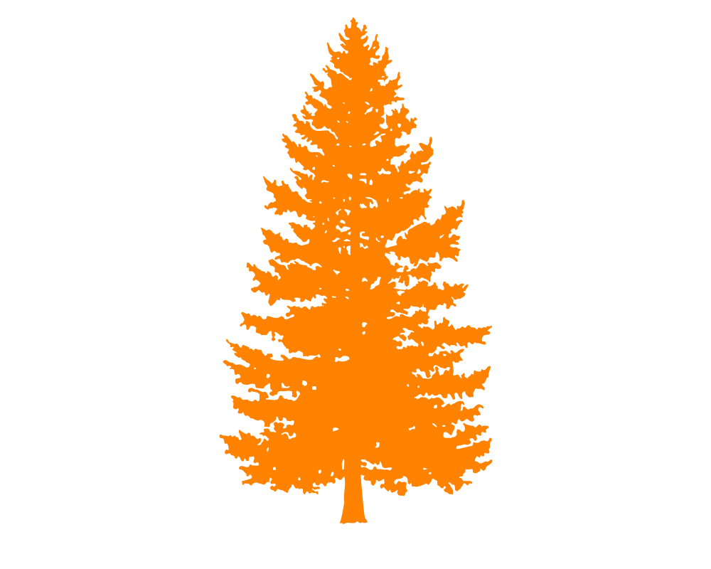21_0309_HomeTree_05.png