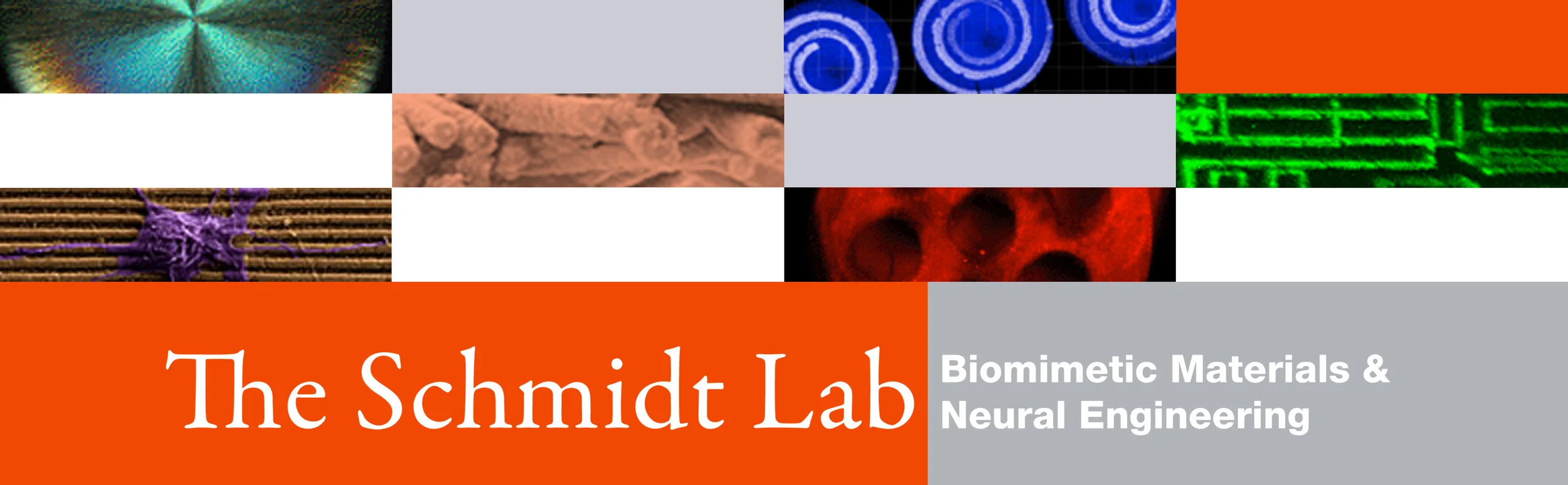 UF BME Schmidt Lab8-13.jpg
