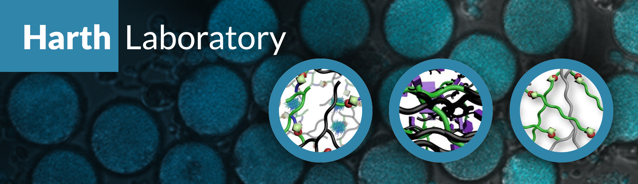harthLab-cropped copy.png