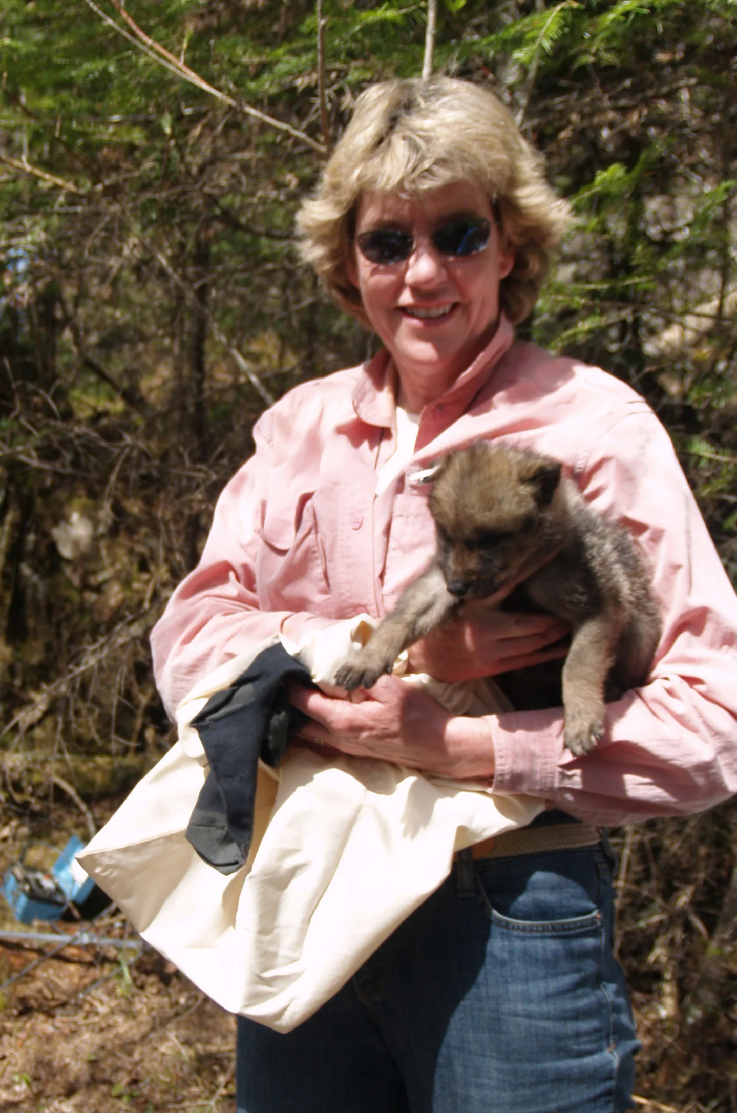 Nancy Gibson.jpg