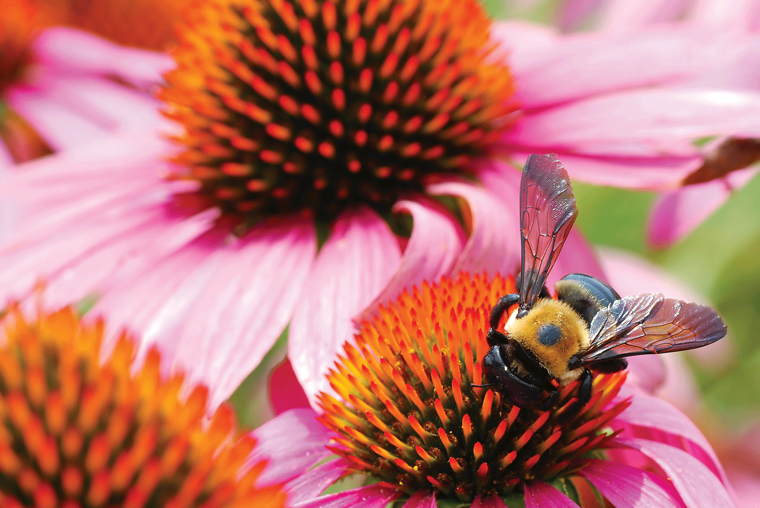 iStock_53839200_Web.png