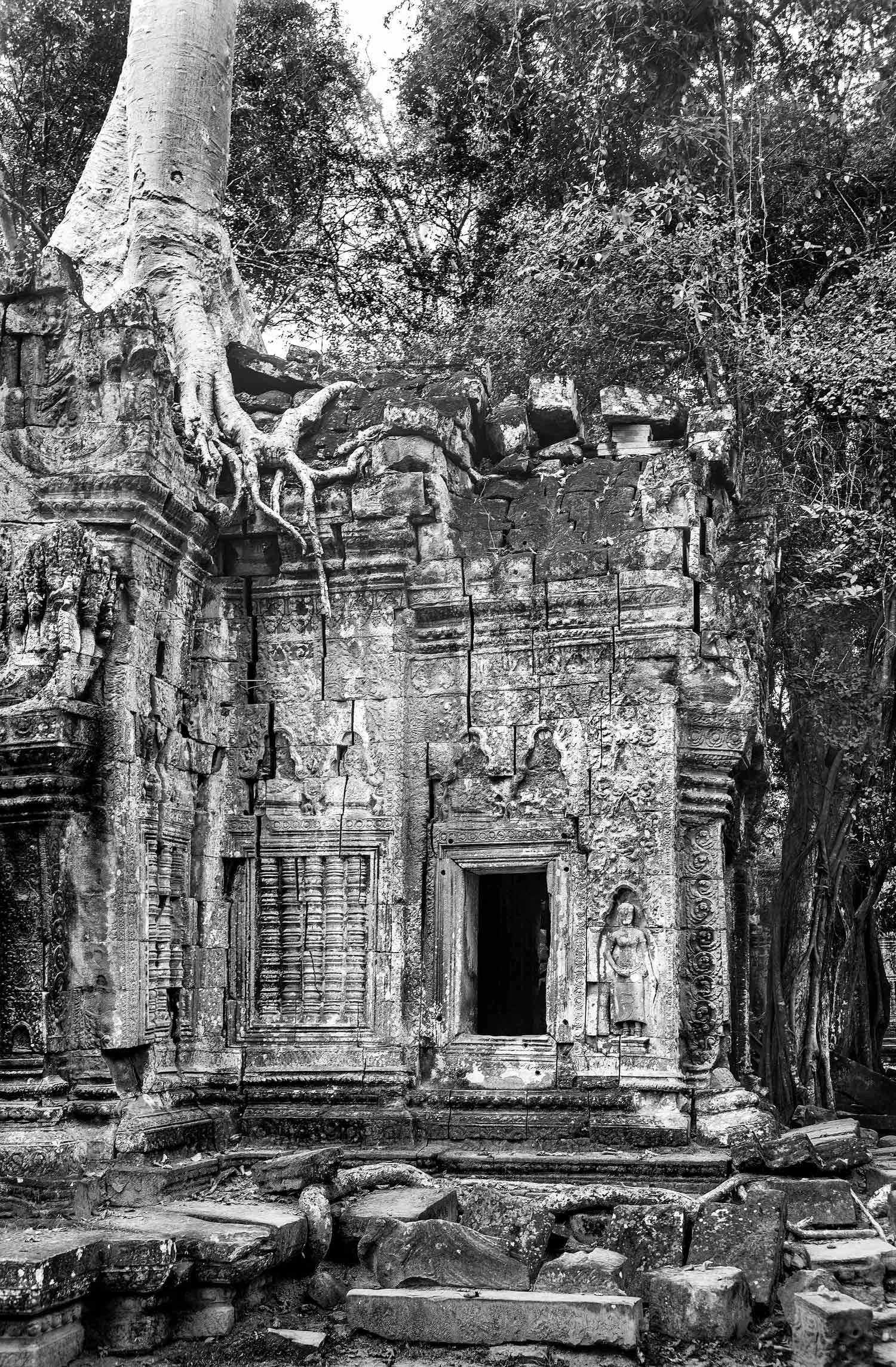 temple-with-tree-on-top-2.jpg