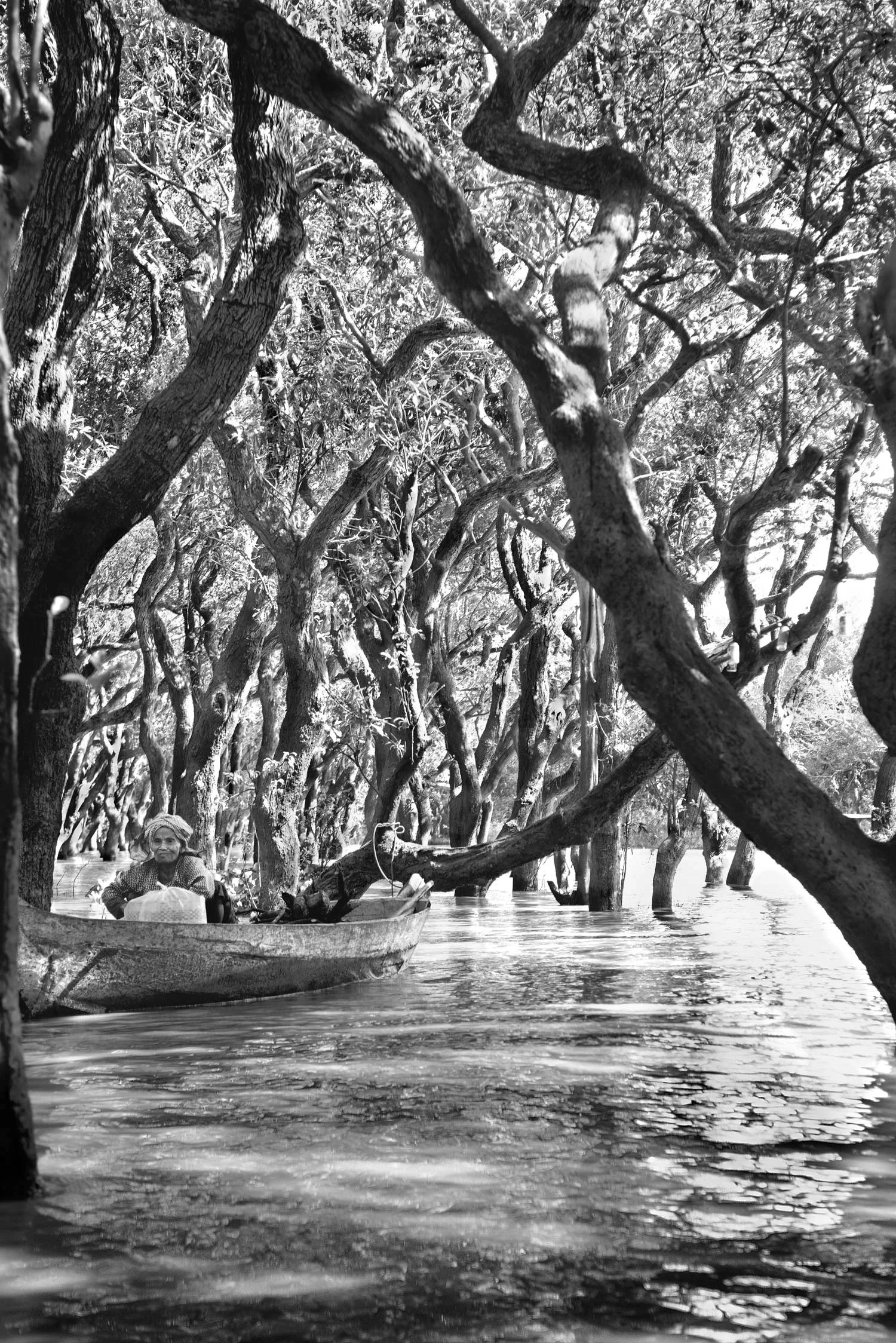 submerged-trees-and-boat-lady-sharpened.jpg