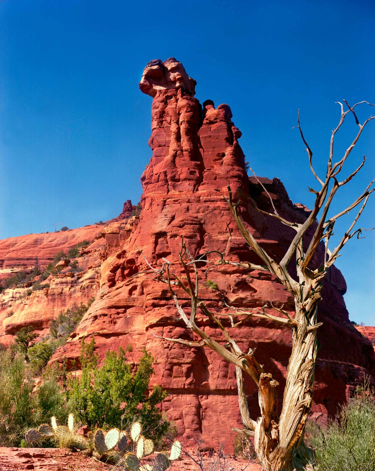 boynton-canyon---final-&-complete.jpg