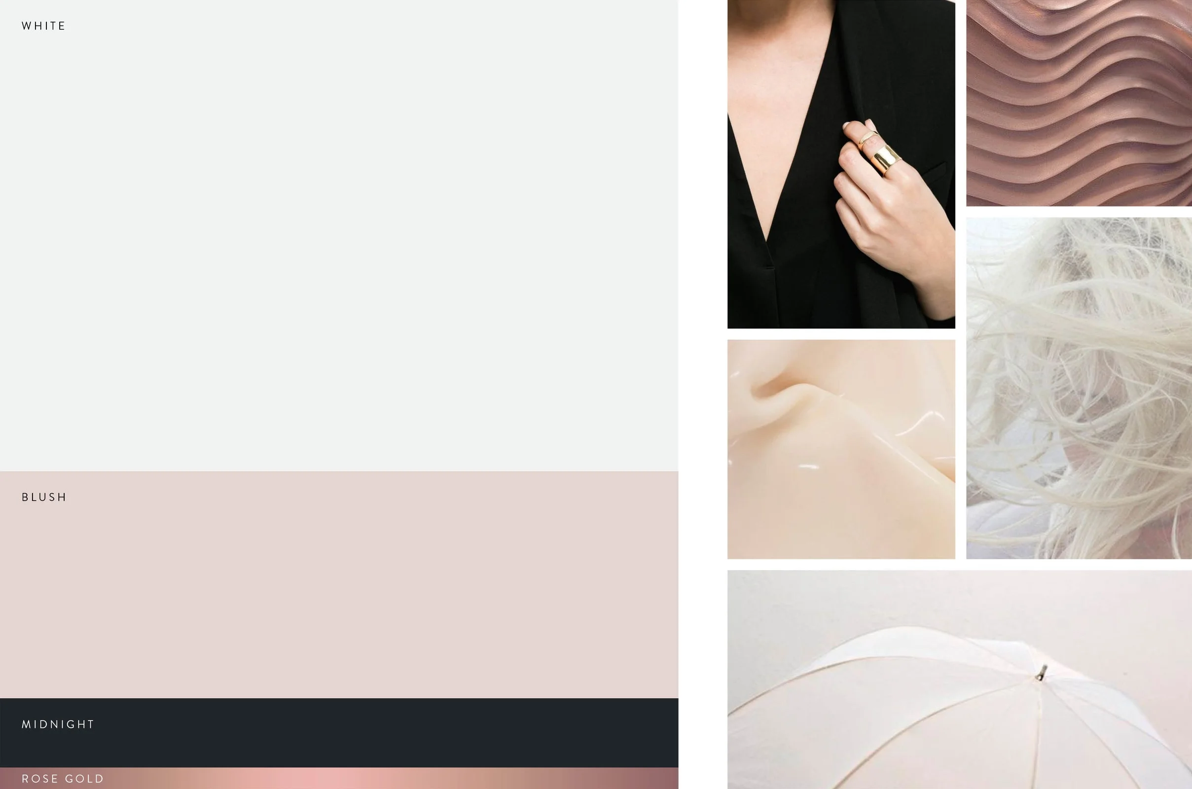Color Palette4.jpg
