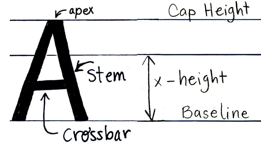 How To Draw A From Alphabet Law