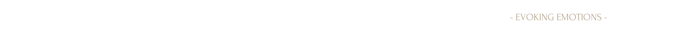 EvokingEmotions.png