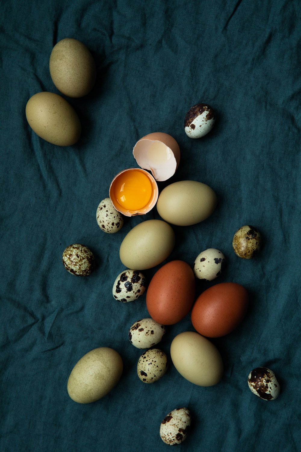 decenzo-angela-san-francisco-commercial-food-photographer-chicken-quail-eggs-20210102_41A8314.jpg