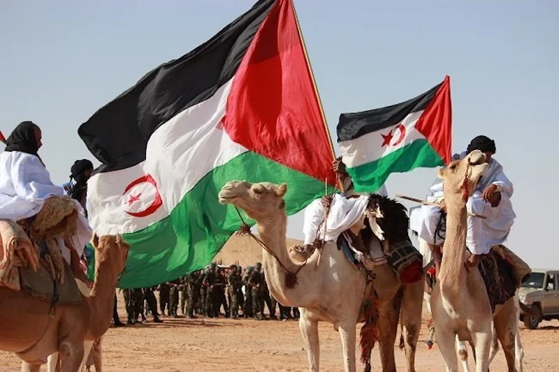 polisario.jpg