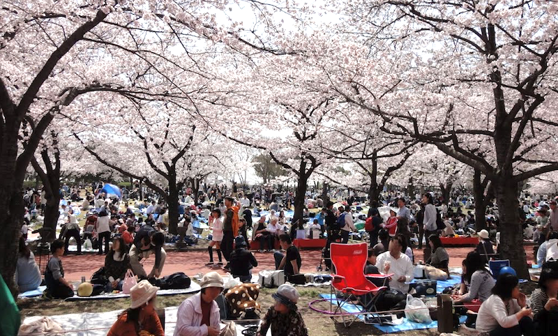 japon1.png