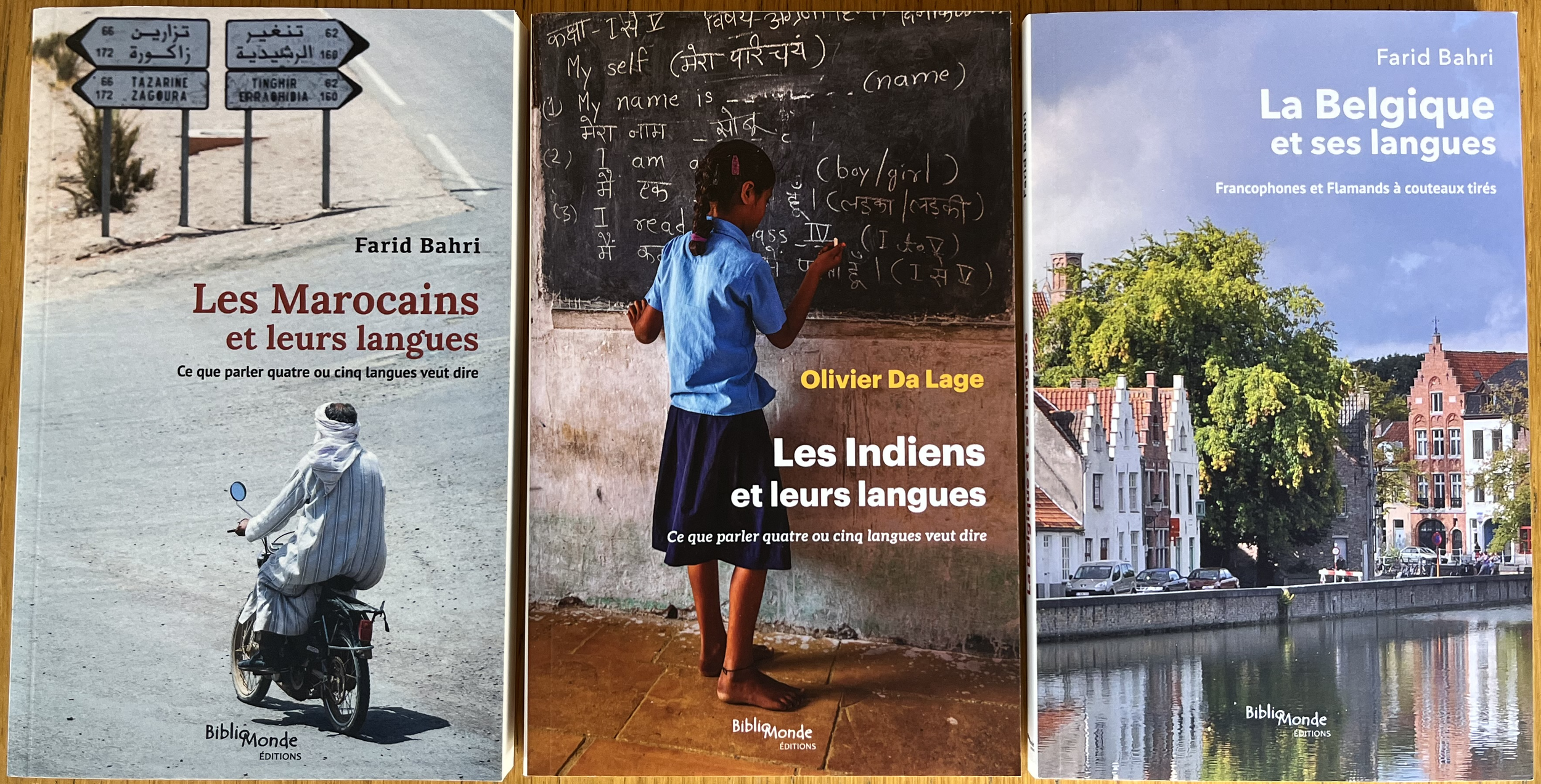 3 titres coll langues et politique.png