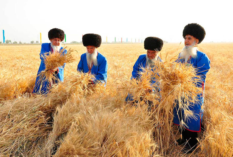 19 juillet : Galla Bayramy, fête agraire au Turkménistan